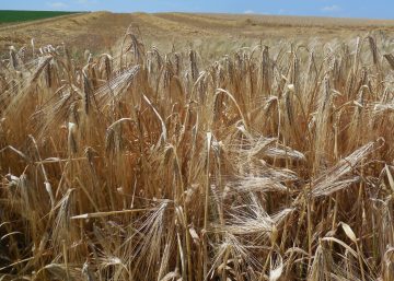 ilustracne foto klasy