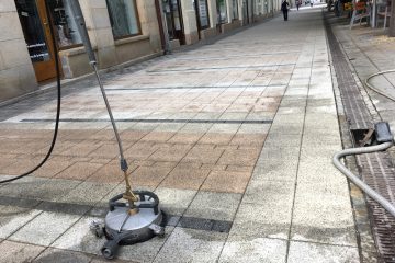 piestany cistenie pesia zona