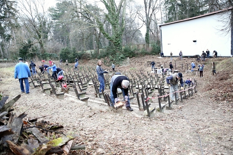 letne kino piestany