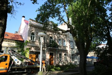 piestany burka spadnuty strom