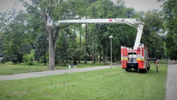 hasici park strom