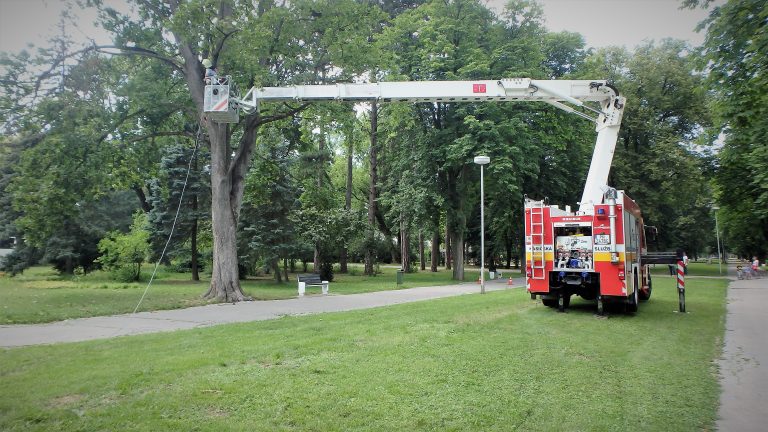 hasici park strom